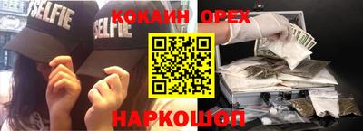 гидропоника Новозыбков