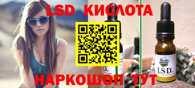 гидропоника Новозыбков