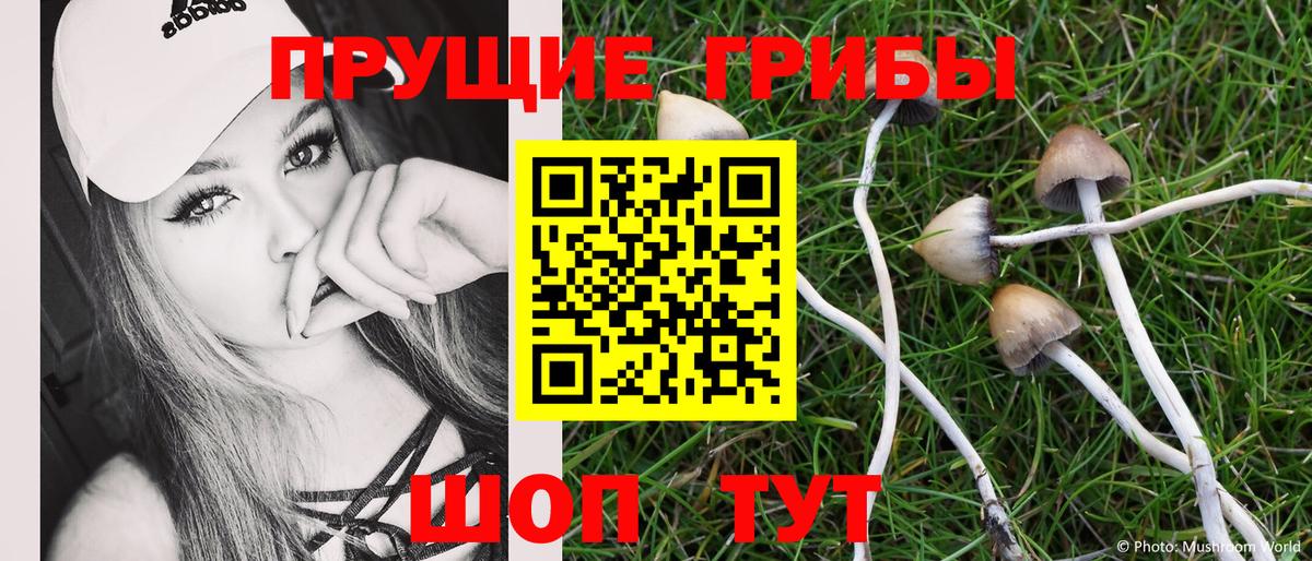Галлюциногенные грибы Magic Shrooms  Вход с VPN  Узловая 